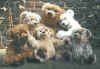 lorenzo teddies.jpg (86677 Byte)