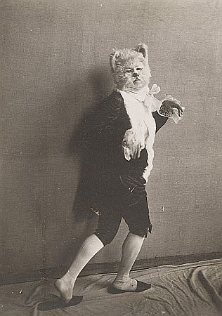 Gertrud Eysoldt als "Katze" in "Der blaue Vogel" ("L'oiseau bleu") von Maurice Maeterlinck in der deutschsprachigen Erstauffhrung (23.12.1912) am "Deutschen Theater" (Regie: Max Reinhardt), fotografiert von Hans Bhm (18901950); Quelle: theatermuseum.at; Inv. Nr.: FS_PE264406; Copyright KHM-Museumsverband; Lizenz: CC BY-NC-SA 4.0