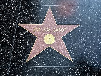 "Stern" auf dem "Walk of Fame" für Zsa Zsa Gabor: Urheber: Cory Doctorow; Lizenz: CC BY-SA 2.0 Deed: Quelle: Wikimedia Commons