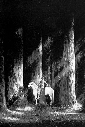 Der künstliche Atelier-Wald in dem Stummfilm "Die Nibelngen" (1924) mit Paul Richter als Siegfried; Quelle: virtual-history.com aus "Vom Werden deutscher Filmkunst"/1. Teil: "Der stumme Film"von Dr. Oskar Kalbus1) (Berlin 1935, S. 106) bzw. Ross-Verlag 1935; Unbekannter Fotograf; Lizenz: gemeinfrei