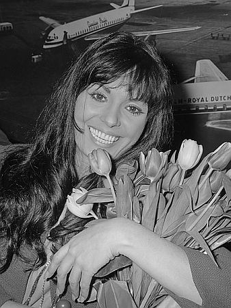 Daliah Lavi Ende März 1966; Rechteinhaber: Nationaal Archief (Den Haag, Rijksfotoarchief; Bestandsnummer: 918-9684); Urheber/Fotograf: Jac. de Nijs / Anefo; Quelle: Wikimedia Commons; Lizenz: www.gahetna.nl/over-ons/open-data / CC BY-SA 3.0 NL